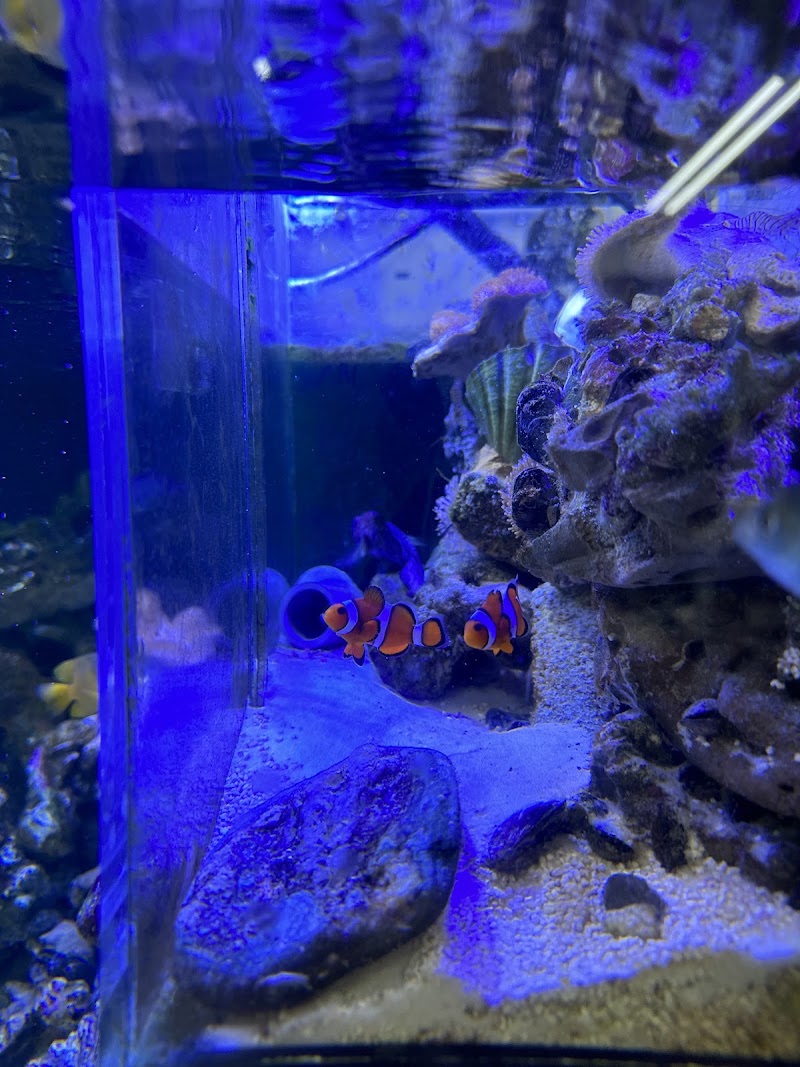 Ocean World Aquarium - Ocean World Aquarium 207號 Tung Choi St, Prince Edward, Hong Kong