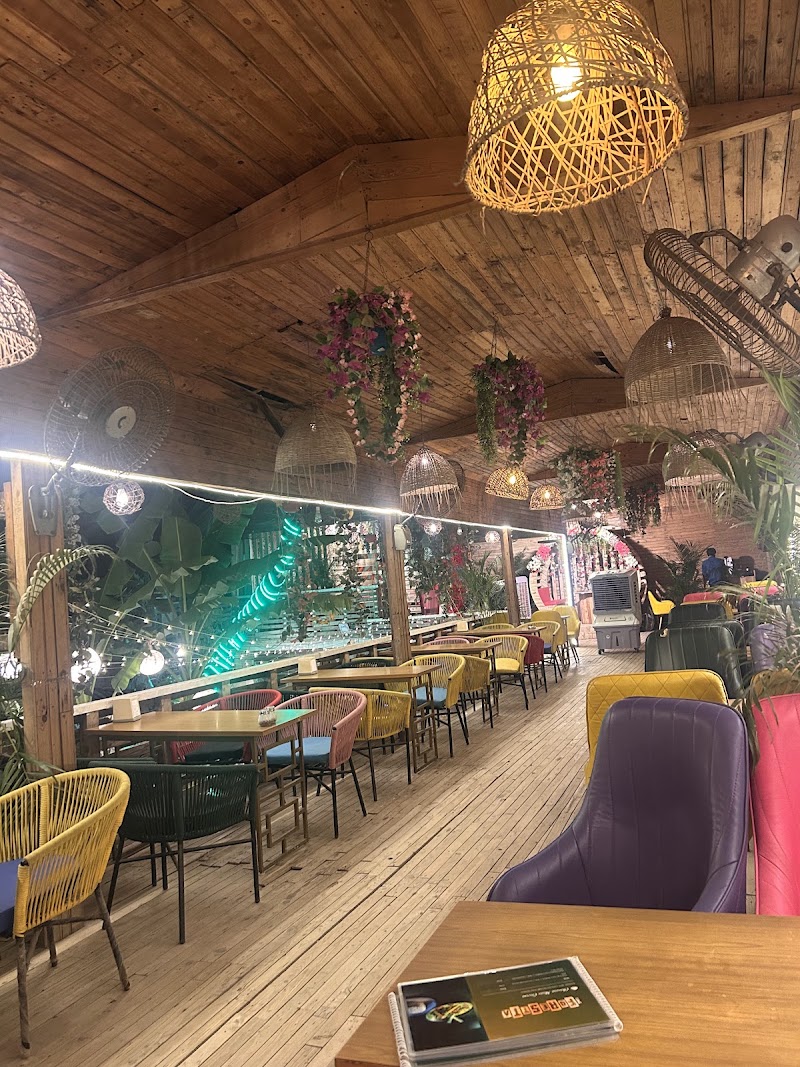 The Forestta - Best Cafe in Gurgaon - The Forestta - Best Cafe in Gurgaon sarsawti kunj, Plot No 27, Golf Course Rd, opposite Alchemist Hospital, Suncity, Sector 54, Gurugram, Haryana 122003, India
