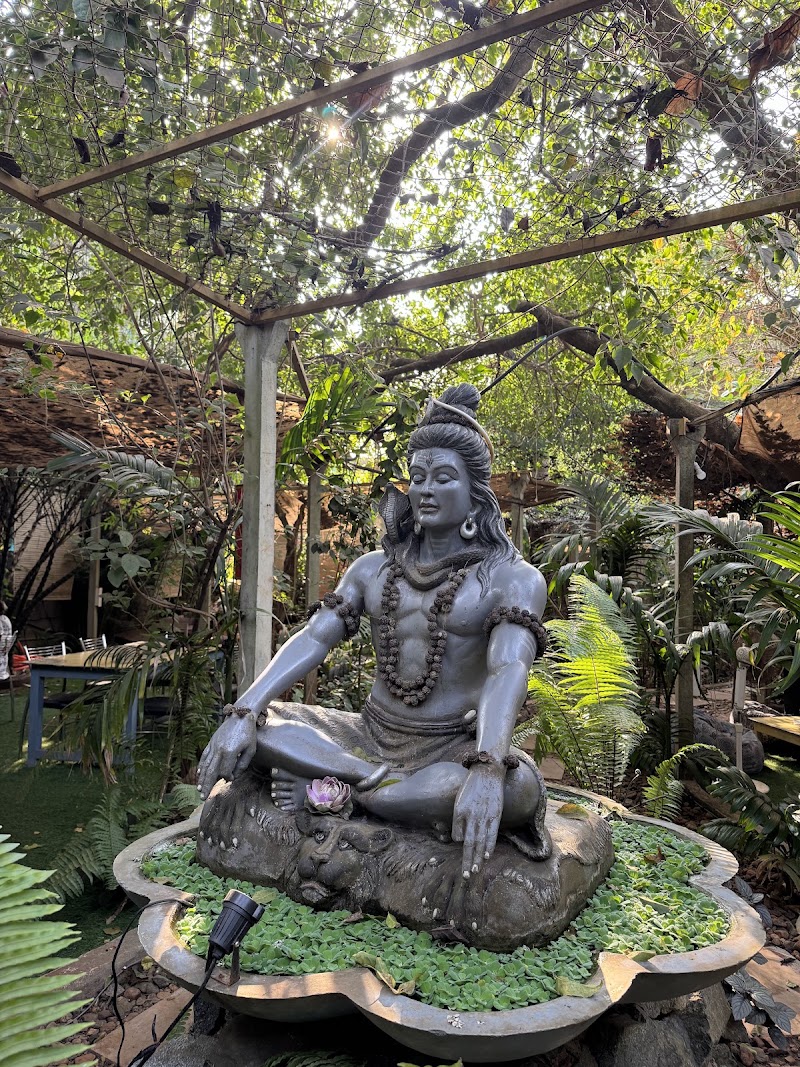 Cafe Tathastu Goa - Cafe Tathastu Goa house number 128, palaza hotel, behind krishna lama bakery, Khalchawada, Arambol, Goa 403524, India