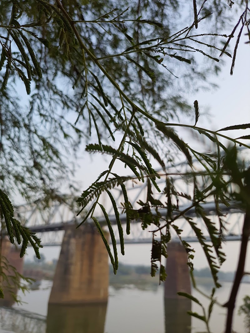 Railway Bridge no 348 - Railway Bridge no 348, Shivnath River, Bridge, Nagpura, Chhattisgarh 491001, India