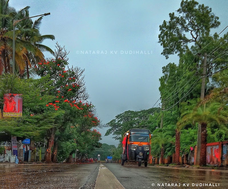 Davangere - Davangere, Karnataka, India