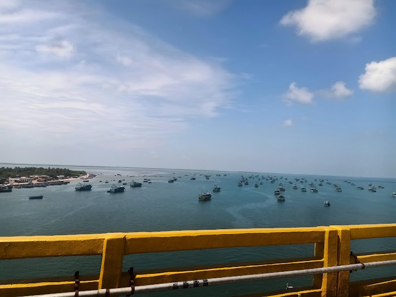 Pullivasal Island - Pullivasal Island, 65RM+2W, Pamban, Tamil Nadu 623518, India