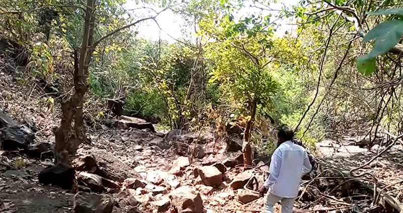 Bhatsa Vally - Bhatsa Vally, G9GH+582, Unnamed Road, Birwadi, Maharashtra 421603, India