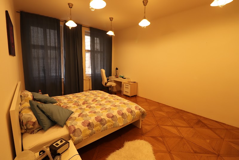 Onefam Home Hostel Prague - Onefam Home Hostel Prague Hybernská 1008/22, Nové Město, 110 00 Praha-Praha 1, Czechia