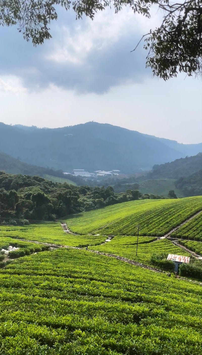 Coonoor Hill Station