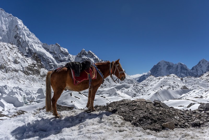 Everest Base Camp Rock - Everest Base Camp Rock XRWW+VR, Khumjung 56000, Nepal