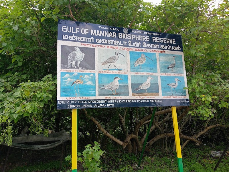 Kurusadai island - community based Eco tourism - Kurusadai island - community based Eco tourism, 765C+8G, Pamban, Tamil Nadu 623529, India