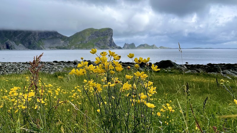Nordlandshagen - Nordlandshagen, Værøy Municipality, 8063 Værøy, Norway