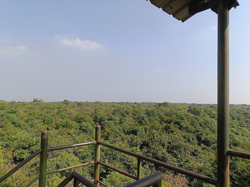 Ananthagiri hills watch tower - Ananthagiri hills watch tower, 8R8X+GQ3, Unnamed Road, Kondapur Kalan, Telangana 501102, India