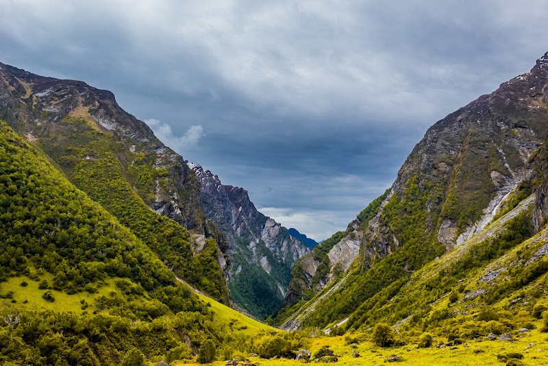 Valley of Flowers National Park - Valley of Flowers National Park Uttarakhand 246443, India