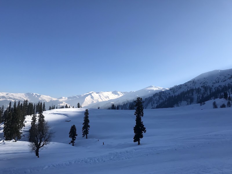 Phase 1, Gulmarg, Srinagar, J&K - Phase 1, Gulmarg, Srinagar, J&K phase 1, 1, Gulmarg Road, Gulmarg, Forest Block, 193403