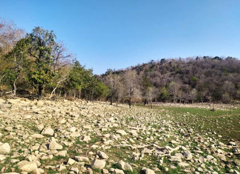 Gandhi Sagar Wildlife Sanctuary - Gandhi Sagar Wildlife Sanctuary, Chenpuriya, Madhya Pradesh 458118, India