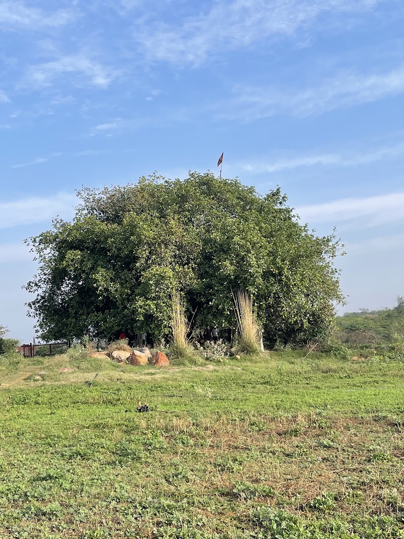 Aravali Hills in Gurgaon - Aravali Hills in Gurgaon Aravali Hills in Gurgaon Residential Projects- Office no. 18 plot a-5 Vipul Agora, Mehrauli-Gurgaon Rd, Gurugram, Haryana 122101, India