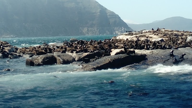 Hout Bay Harbour - Hout Bay Harbour, Cape Town, 7806, South Africa