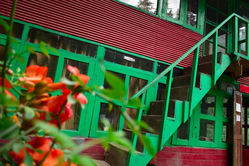 Dannyyy's Riverside Cottage - Dannyyy's Riverside Cottage Dannyyy’s Riverside Cottage, Gadagushaini, Jibhi, Tandi, Himachal Pradesh 175123, India