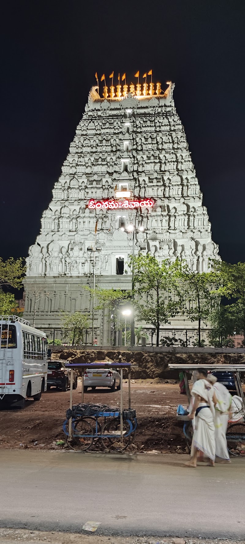 Srikalahasti Temple - Srikalahasti Temple, Srikalahasti, Andhra Pradesh 517644, India
