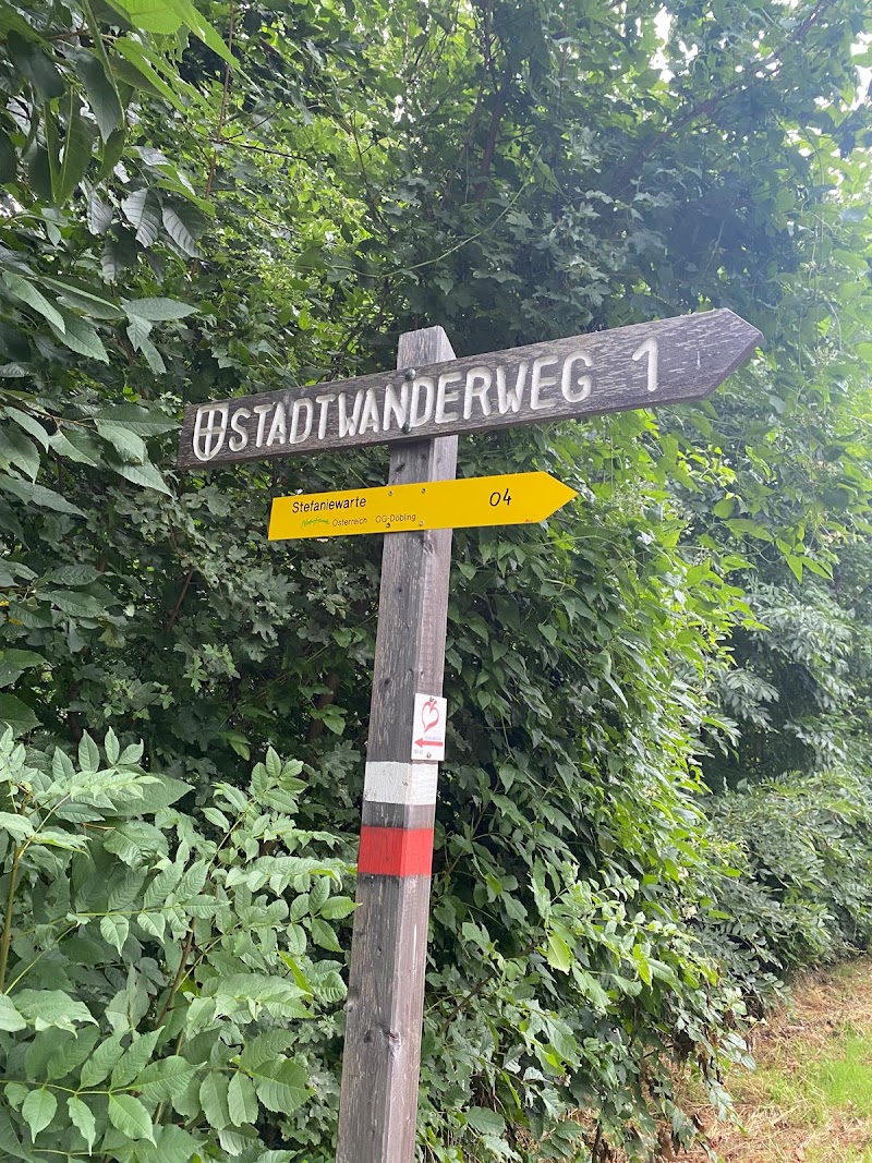 Stadtwanderweg 1 - Stadtwanderweg 1, Zahnradbahnstraße, 1190 Wien, Austria
