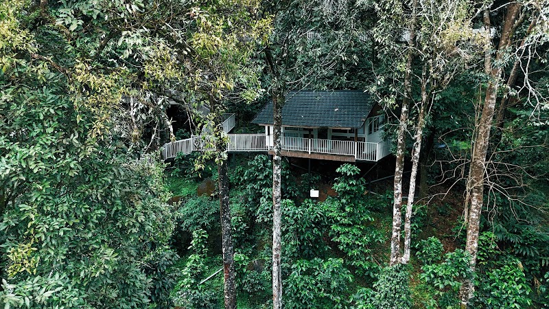 Zeno Village 900 Kandi Wayanad - Zeno Village 900 Kandi Wayanad Meppadi, Vellarimala, Kerala 673577, India