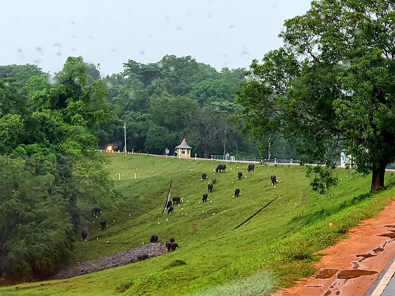Kandalama - Kandalama Kandalama, Sri Lanka