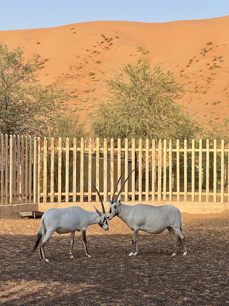 Arabian Oryx Camp - Arabian Oryx Camp, Bidiya, 9PRC+F87, Al Wāşil 421, Oman