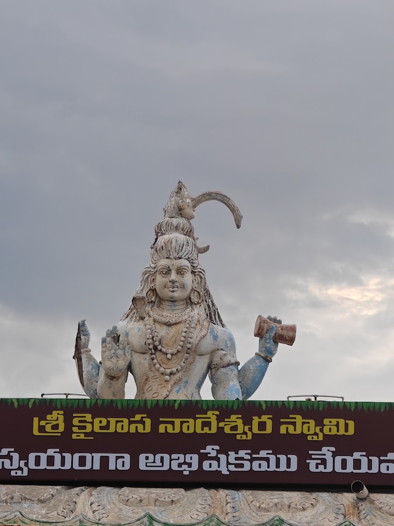 Mypadu Beach - Mypadu Beach, Andhra Pradesh, India