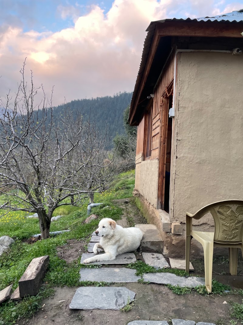 The Hidden Nest Homestay
