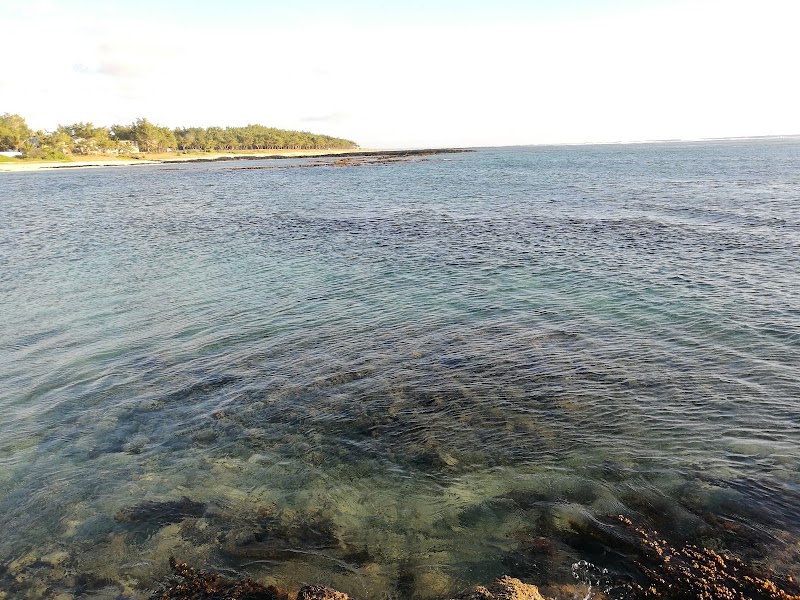 Palmar - Palmar, Quatre Cocos, Mauritius