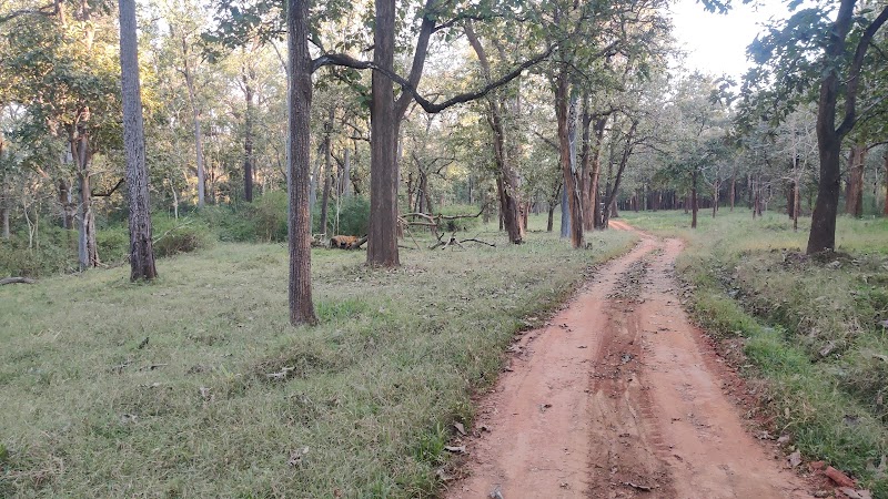 Nagarahole national park Safari - Nagarahole national park Safari, Nagarhole Rd, Badaga, Karnataka 571250, India