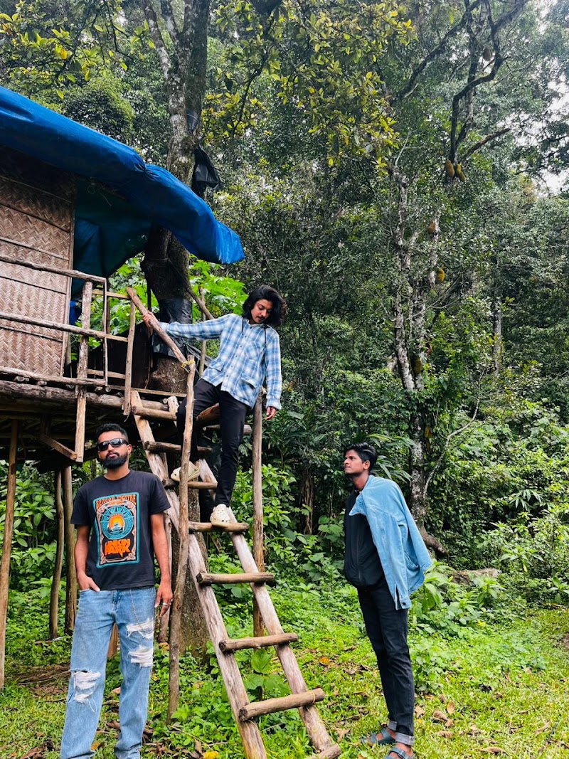 Bison valley - Bison valley, 24F9+HHJ, Udumbanchola, Keralam 685613, India