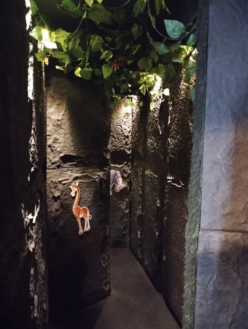 Wild Wonders - Jungle Themed Indoor Playcenter & Birthday Venue - Wild Wonders - Jungle Themed Indoor Playcenter & Birthday Venue APT plaza, 503, behind Atithi hotel, near Mulund Railway Station, Siddharth Nagar, Mulund West, Mumbai, Maharashtra 400080, India