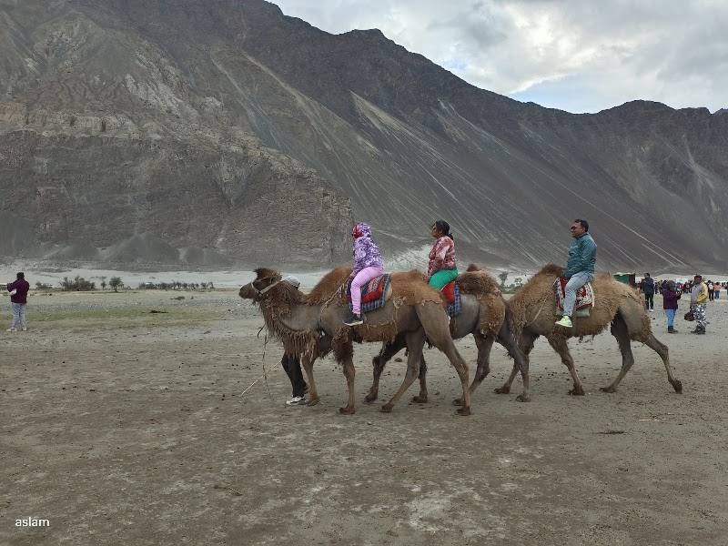 Hunder Sarai - Hunder Sarai, HFJC+Q3, Nubra, Hunder, 194401