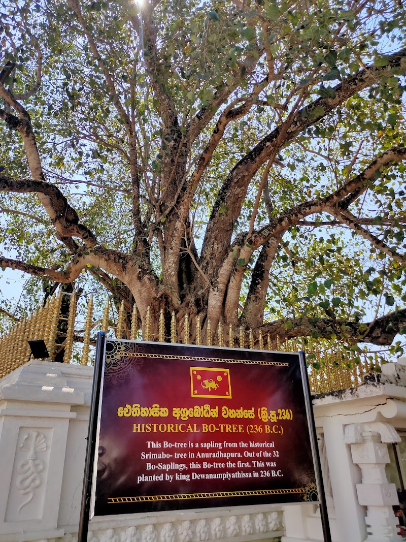 Agrabodhi Raja Maha Viharaya - Agrabodhi Raja Maha Viharaya Sri Agrabhodi Viharaya, Weligama, Sri Lanka