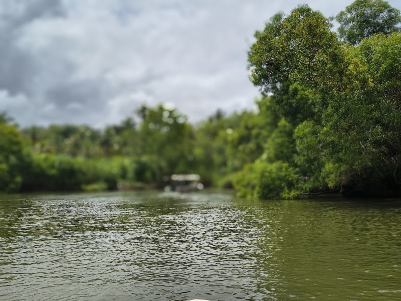 Backwaters in poovar island - Backwaters in poovar island Poovar, Kerala 695026, India
