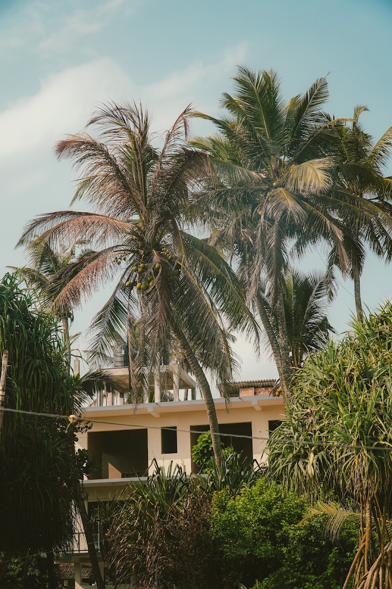 The Reset House - Wellness Hostel Hiriketiya