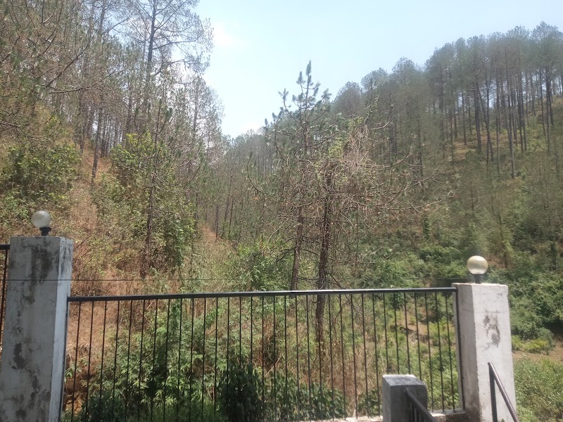 Pineoak Paradise (POP) Bhowali, Nainital - Pineoak Paradise (POP) Bhowali, Nainital, Pine Oak Paradise, Shyamkhet, Bhowali, Sukha, Uttarakhand 263153, India