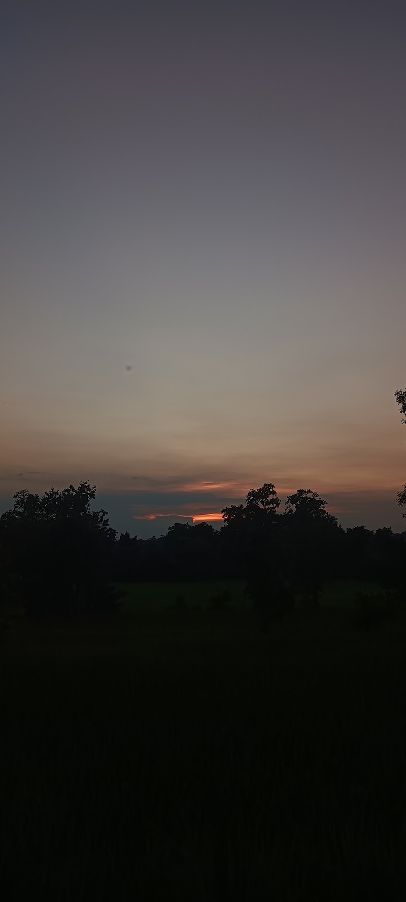 Malidehi (picnicspot) - Malidehi (picnicspot), 63MV+XPF, Malidehi, Gangpurgarh, Odisha 770002, India