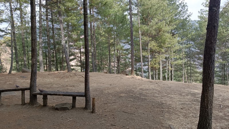 Kuenselphodrang Recreation Park - Kuenselphodrang Recreation Park, CJWR+RVJ, Thimphu, Bhutan