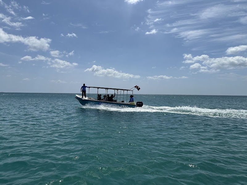 Ocean Plus Trinco Watersport and Dive Center - Ocean Plus Trinco Watersport and Dive Center Sri Lanka, LK Nilaveli 8th mile post, Veloor, Ward no-01邮政编码: 31010