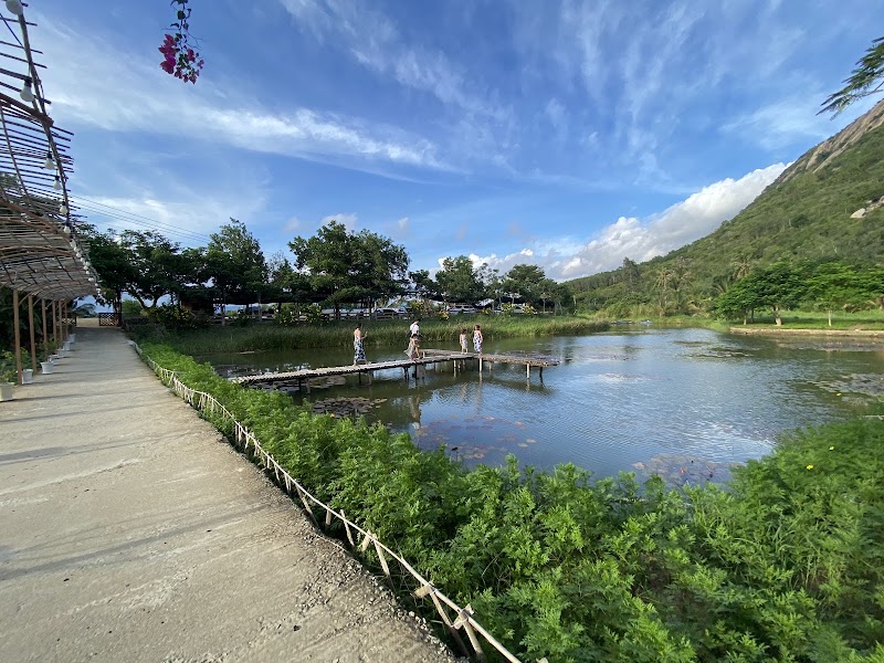 Fairy Stream Sheep Farm - Fairy Stream Sheep Farm, ĐT702, Nam Cam Ranh, Khánh Hòa, Vietnam
