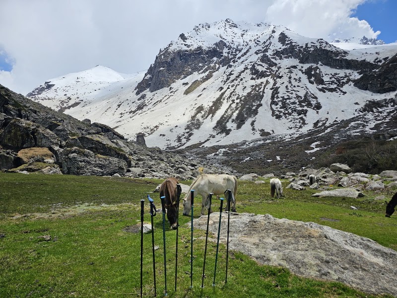 Panduropa - Panduropa, 7659+W6P, Bashisht, Himachal Pradesh 175143, India