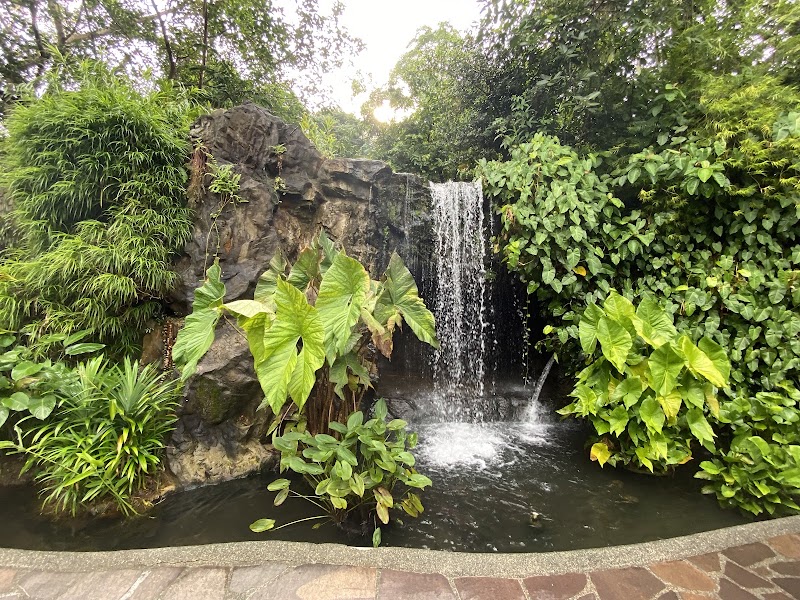 Singapore Botanic Gardens - Singapore Botanic Gardens 1 Cluny Rd, Singapore 259569
