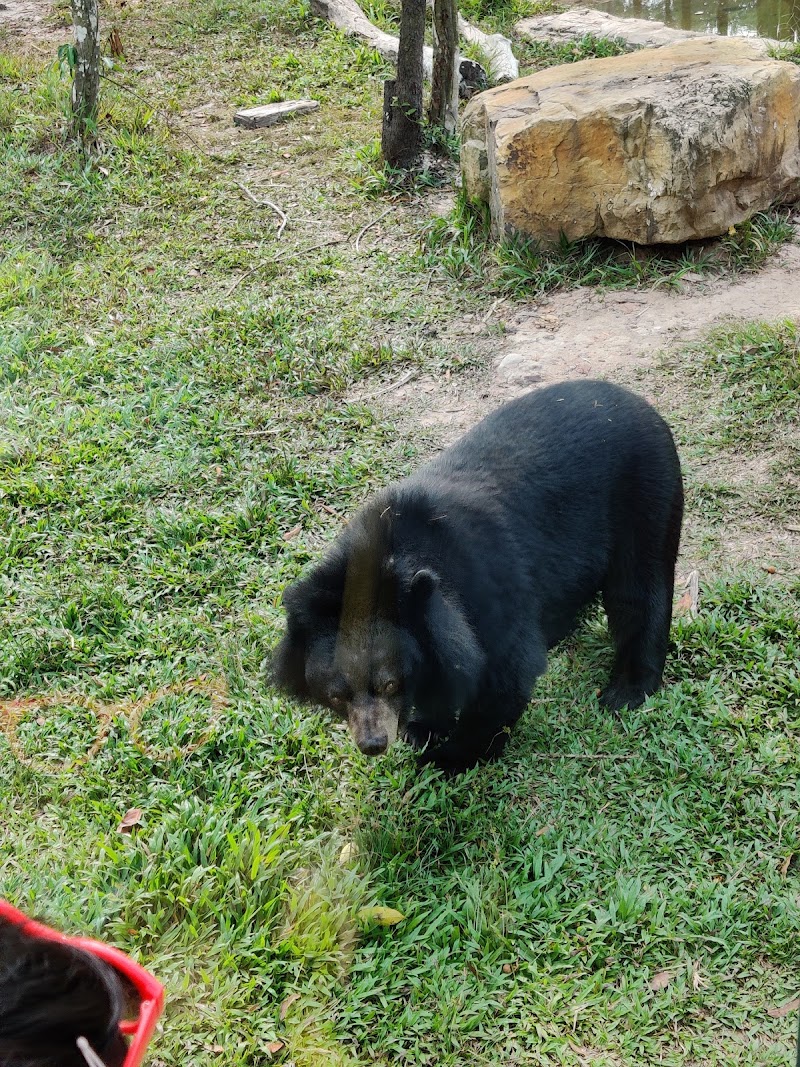 Vinpearl Safari Phú Quốc - Vinpearl Safari Phú Quốc Bãi Dài, Gành Dầu, Phú Quốc, An Giang 922200, Vietnam