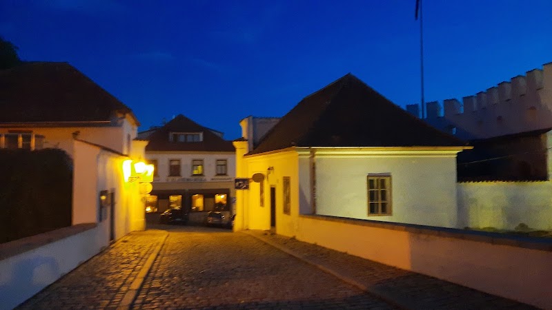 Restaurant U Zlatého býka - Restaurant U Zlatého býka 6, Píseckého 135, 397 01 Písek-Písek 1, Czechia