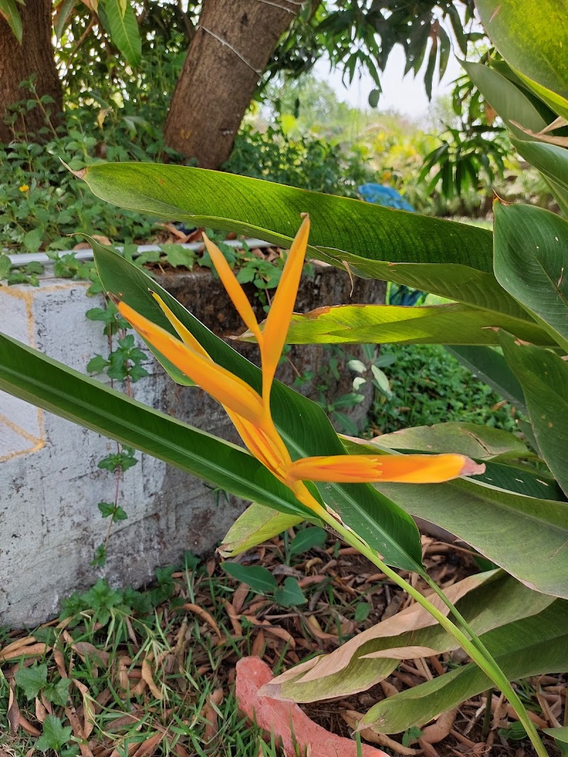 Manor - Manor, Maharashtra 401403, India