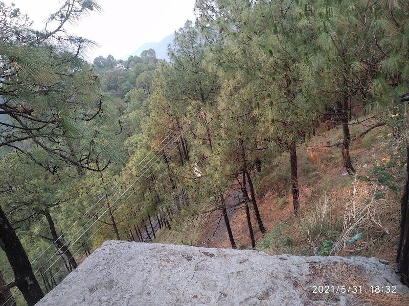 pine villa - pine villa Lawrence school Road Sukhi Johri Chowk, Dharampur, Himachal Pradesh 173209, India
