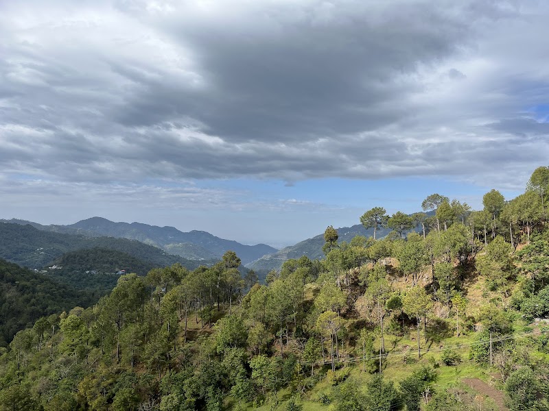 The Green Retreat Homestay - The Green Retreat Homestay V2QM+6X5 Village Gharti Khurd PO Dharampur, Solan, Himachal Pradesh 173209, India