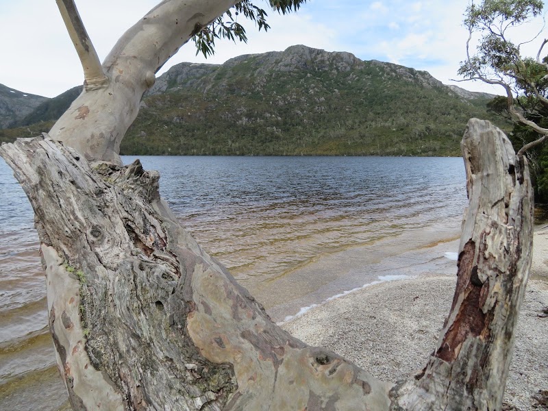 Dove Lake Circuit - Dove Lake Circuit, Dove Lake Cct, Cradle Mountain TAS 7306, Australia