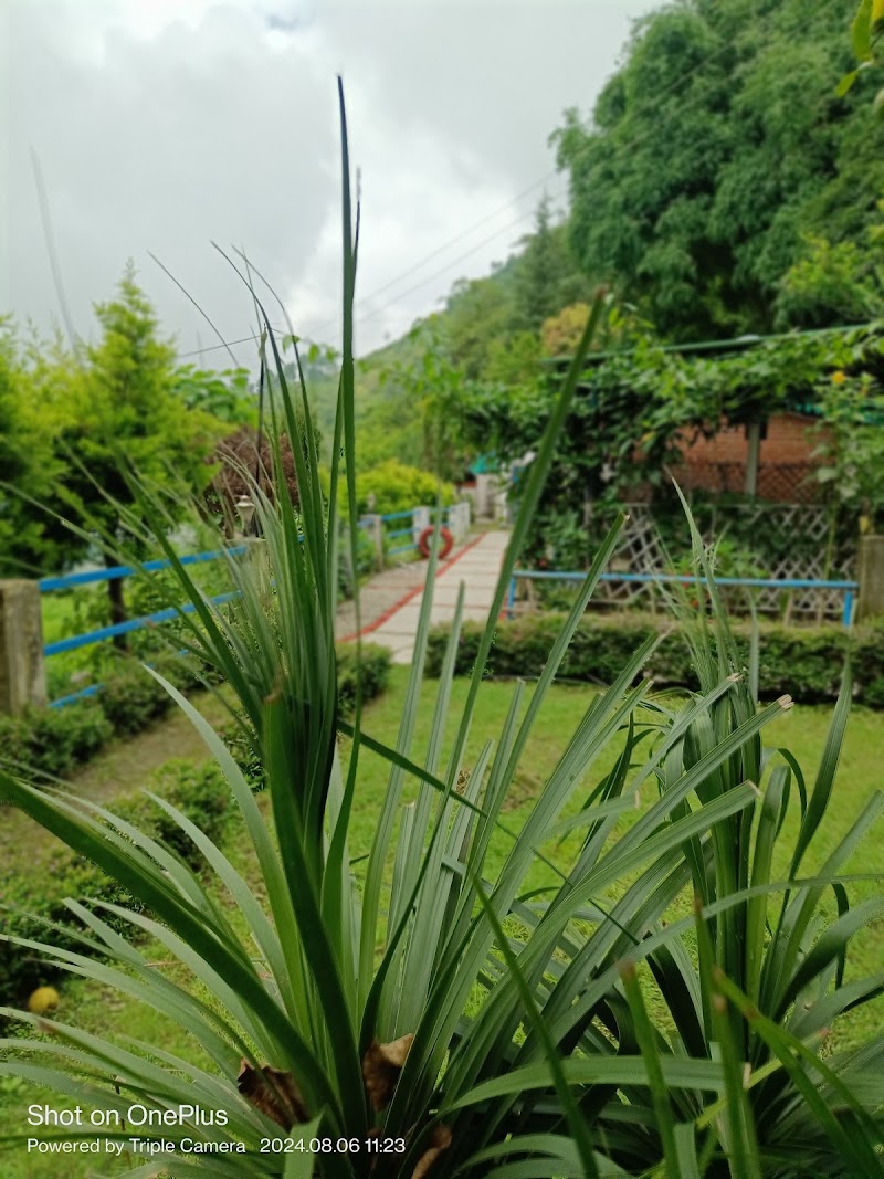 The Tal View Home Stay - The Tal View Home Stay Pandey gaon, near paragliding, Bhimtal, Uttarakhand 263136, India