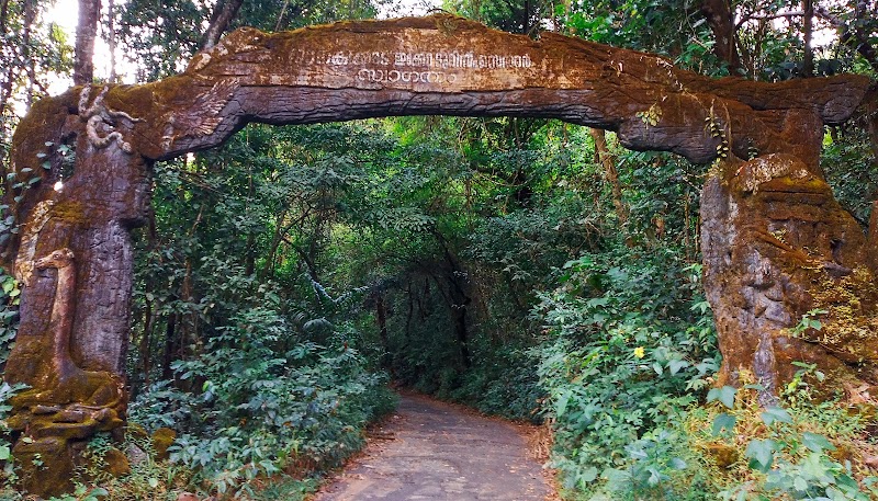 Janaki Forest