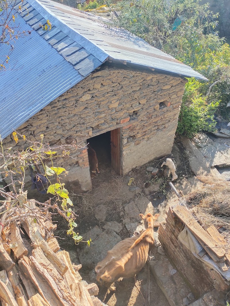 Gunehar Road - Gunehar Road, Gunehar Rd, Bir, Himachal Pradesh 176077, India
